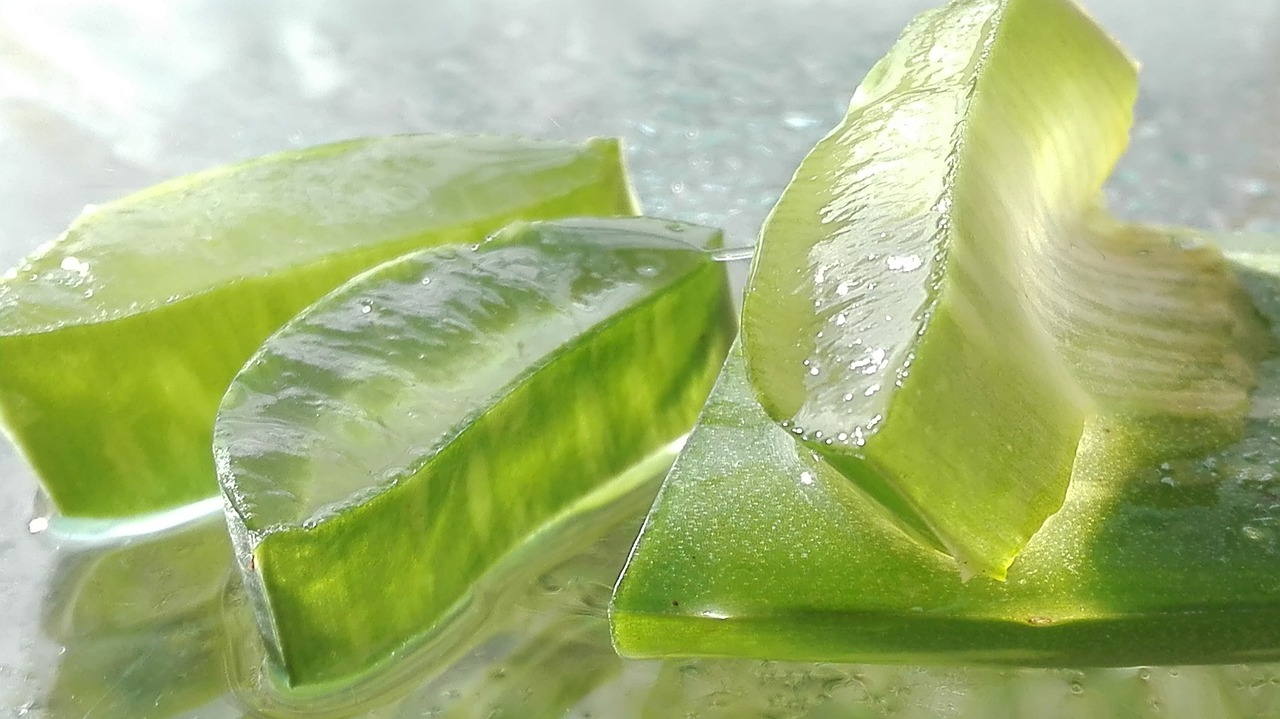 Aloe Vera a alergie