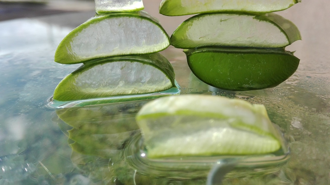 Aloe Vera pri poruchách trávenia